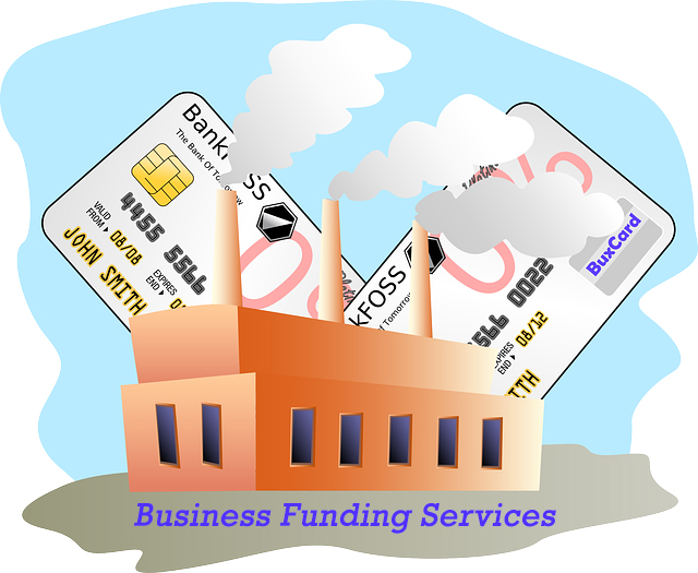 The Profits and Losses of Business Funding Services